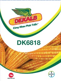 Dekalb DK6818